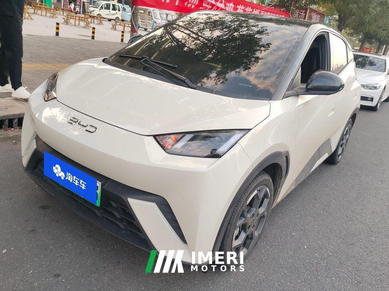 BYD Seagull 305km Free Version - ავტომობილი ჩინეთიდან