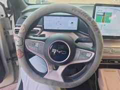 BYD Seagull Smart Driving Edition 305km Free Version - ფოტო 18