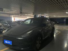Tesla Model Y 545km Rear-Wheel Drive Edition - ფოტო 1