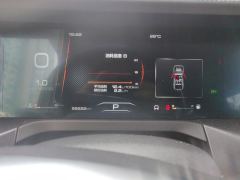 Tank 300 Off-Road Edition 2.0T Challenger - ფოტო 20
