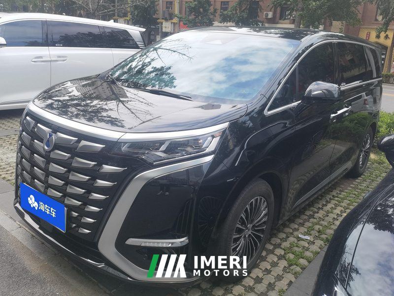 Denza D9 DM-i 1.5T 180km 4WD Flagship Edition 7-seater