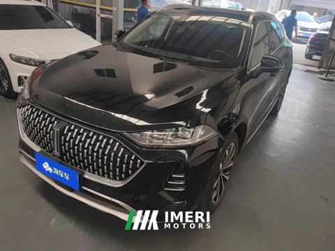 2021 WEY Mocha fuel Weipai Mocha Fuel Oil 2.0T Two-Wheel Drive Special Edition