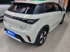 BYD Dolphin 420km Stylish Edition - ფოტო 2