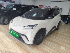 BYD Seagull 305km Vitality Edition - photo 1