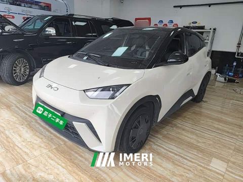 2024 BYD Seagull 305km Vitality Edition - автомобиль из Китая