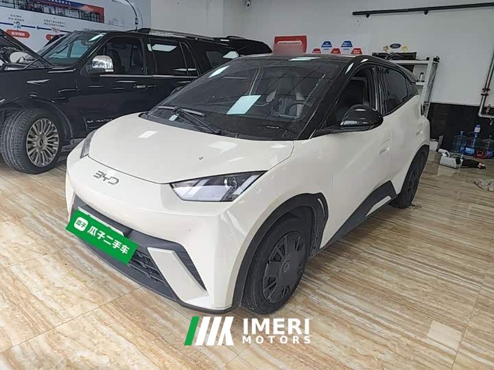 BYD Seagull 305km Vitality Edition