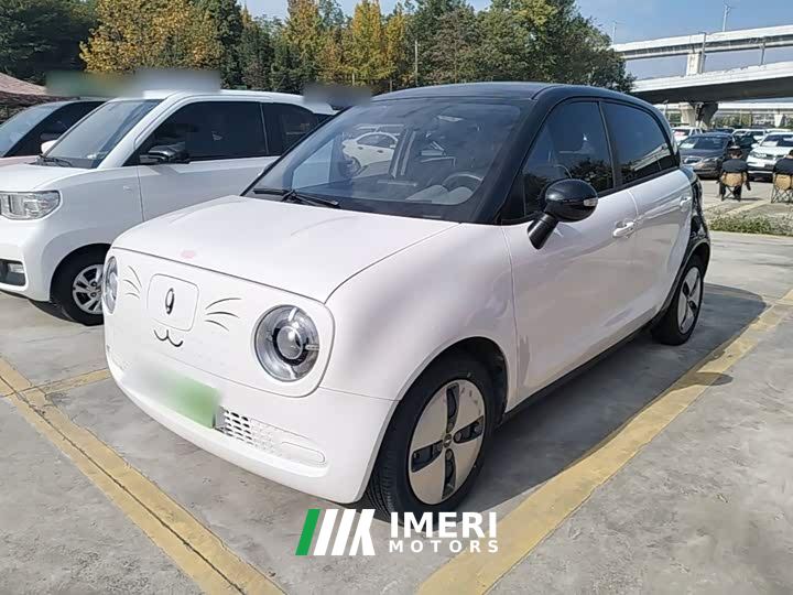 ORA Black Cat Facelift 301km Pet-Lover Edition LFP Battery