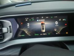 Denza D9 DM-i 1050 Luxury Edition - ფოტო 20