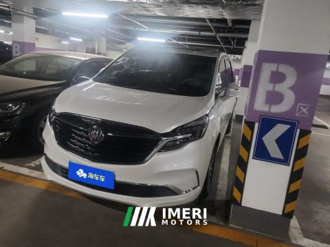 2021 Buick GL8 ES Land Respect 653T Respect Enjoyment Edition - car from China