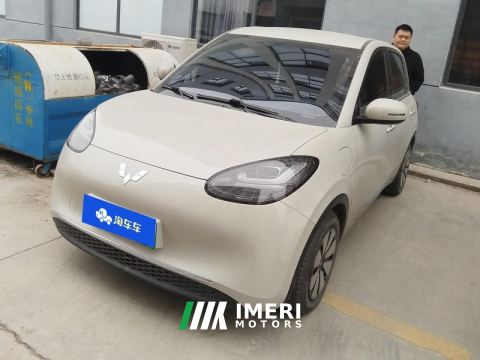 2024 Wuling Bingo 333km Enjoy Edition - car from China