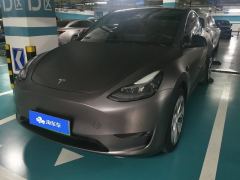 Tesla Model Y Standard endurance rear-wheel drive - ფოტო 1