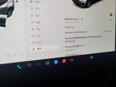 Tesla Model Y Standard endurance rear-wheel drive - ფოტო 14