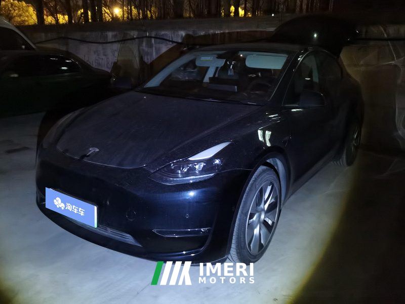 Tesla Model Y Standard endurance rear-wheel drive