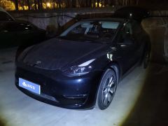 Tesla Model Y Standard endurance rear-wheel drive - ფოტო 1