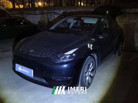 2021 Tesla Model Y Standard endurance rear-wheel drive - ავტომობილი ჩინეთიდან