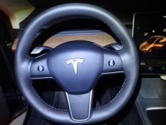 Tesla Model Y Standard endurance rear-wheel drive - ფოტო 12