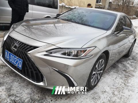 2023 Lexus ES 200 Excellence Edition - car from China