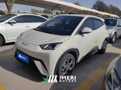 2025 BYD Seagull 305km Free Version - ავტომობილი ჩინეთიდან