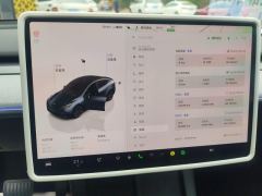 Tesla Model Y 554km Rear-Wheel Drive Edition - ფოტო 20