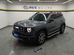 Haval Great Wall Big Dog Great Wall Dog 2.0T Two-wheel drive Chinese hunting dog version - photo 1