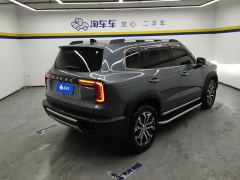 Haval Great Wall Big Dog Great Wall Dog 2.0T Two-wheel drive Chinese hunting dog version - photo 2