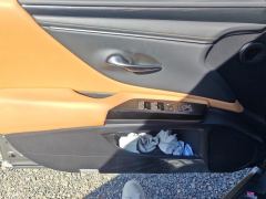 Lexus ES 300h Premium Edition - photo 12