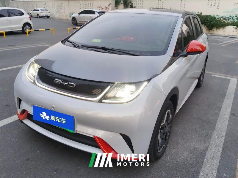 BYD Dolphin 405km Free Version - car from China
