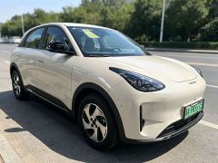 Geely Star Wish 480km Explorer Edition - ფოტო 3