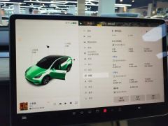 Tesla Model Y 545km Rear-Wheel Drive Edition - ფოტო 20