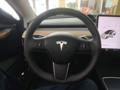 Tesla Model 3 Standard Range RWD Upgrade 3D6 - ფოტო 10
