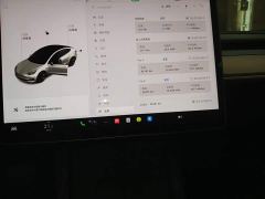 Tesla Model 3 Standard Range RWD Upgrade 3D6 - ფოტო 11