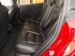 Tesla Model 3 Standard Range RWD Upgrade 3D6 - ფოტო 16