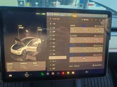 Tesla Model 3 556km Rear-Wheel Drive Edition - ფოტო 20