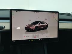 Tesla Model 3 556km Rear-Wheel Drive Edition - ფოტო 17