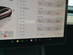 Tesla Model 3 556km Rear-Wheel Drive Edition - ფოტო 20