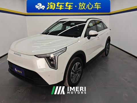 2023 Haval JF-17 Thunder F-17 1.5L 110km Pilot Edition - ავტომობილი ჩინეთიდან