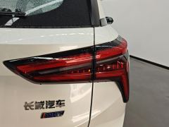 Haval JF-17 Thunder 1.5L 110km Edition - ფოტო 5