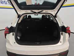 Haval JF-17 Thunder 1.5L 110km Edition - ფოტო 7