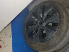 Tesla Model Y 554km Rear-Wheel Drive Edition - фото 6