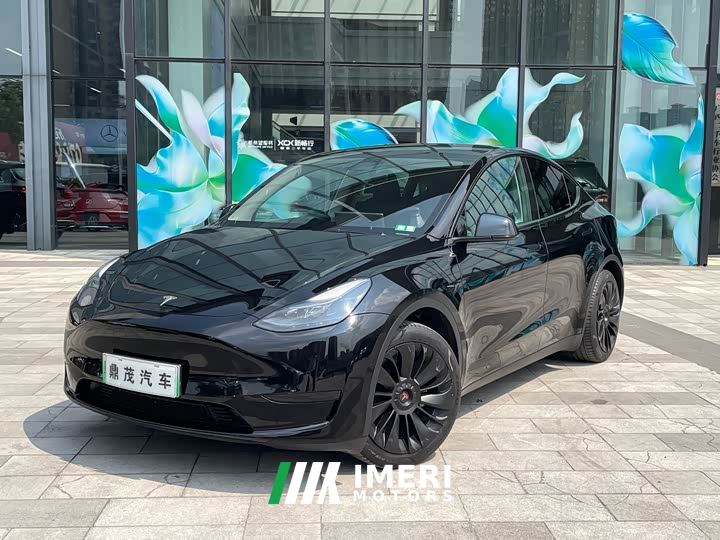 Tesla Model Y Rear-Wheel Drive - ავტომობილი ჩინეთიდან
