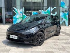 Tesla Model Y Rear-Wheel Drive - ფოტო 1