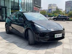 Tesla Model Y Rear-Wheel Drive - ფოტო 8