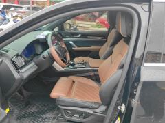 BYD Tang DM-i 1.5T 112KM Version - photo 8