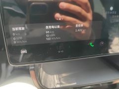 Tesla Model 3 606km Rear-Wheel Drive Edition - ფოტო 20