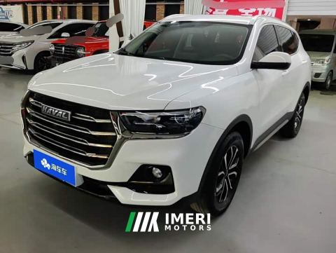 2023 Haval H6 National Trend Edition 1.5T Automatic Urban Version - ავტომობილი ჩინეთიდან