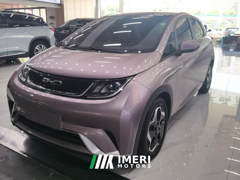 BYD Dolphin 405km Stylish Edition - ავტომობილი ჩინეთიდან