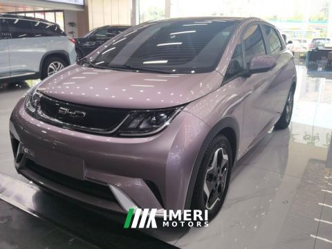 2021 BYD Dolphin 405km Stylish Edition - car from China