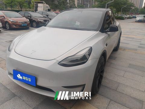 2021 Tesla Model Y Standard endurance rear-wheel drive - ავტომობილი ჩინეთიდან
