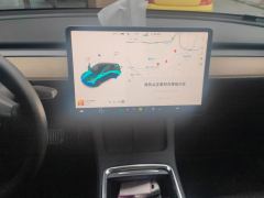 Tesla Model Y Standard endurance rear-wheel drive - ფოტო 17