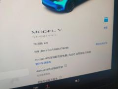Tesla Model Y Standard endurance rear-wheel drive - ფოტო 20